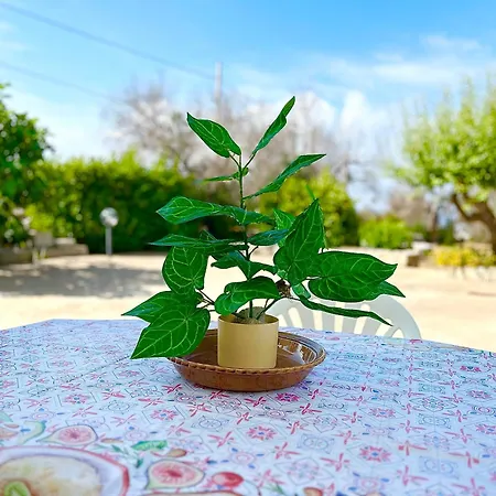 Casa Veronica Hébergement de vacances *