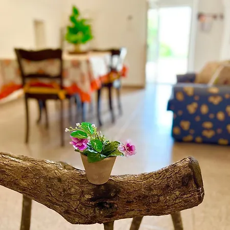 Casa Veronica *