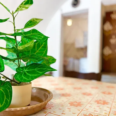 Casa Veronica 度假居 托雷瓦多
